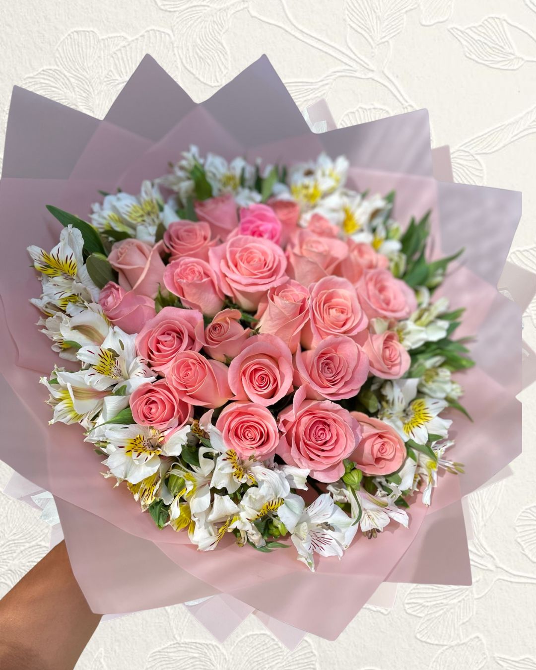 24 rosas + astros